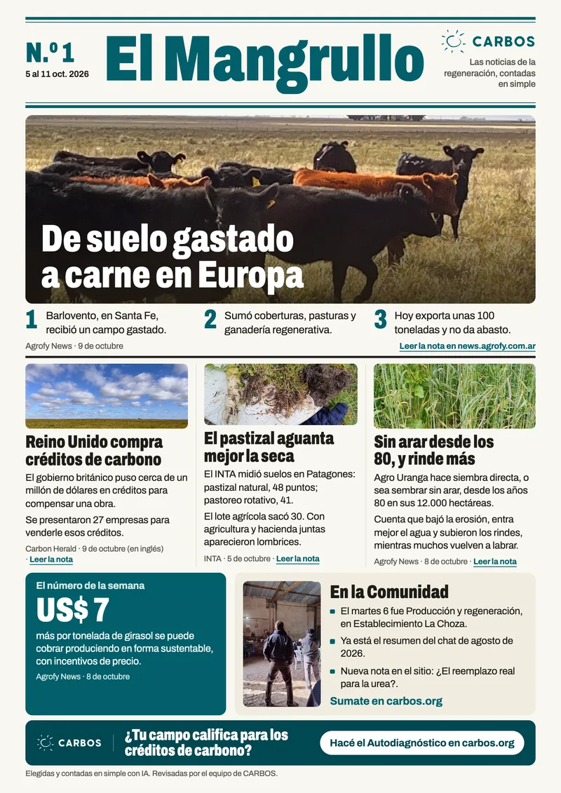 La hoja de El Mangrullo N.º 1. Tapa: De suelo gastado a carne en Europa. Las noticias, con su link, están en texto en esta página.